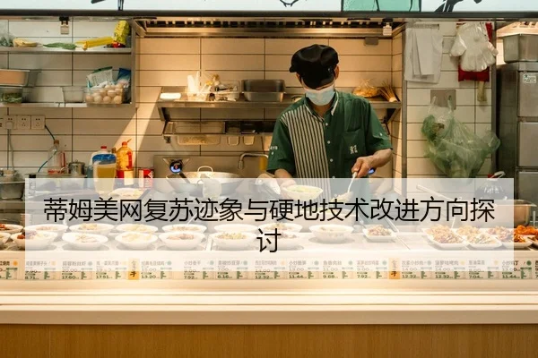 蒂姆美网复苏迹象与硬地技术改进方向探讨 | qssports